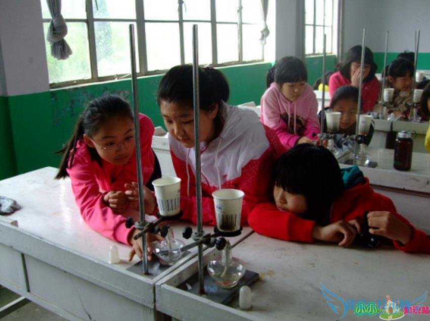 ˭֪һЩʵֽˮ,븡ˮ