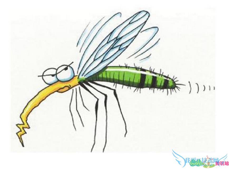 被蚊子咬过的地方为什么会痒 被蚊子咬过的地方为什么会痒