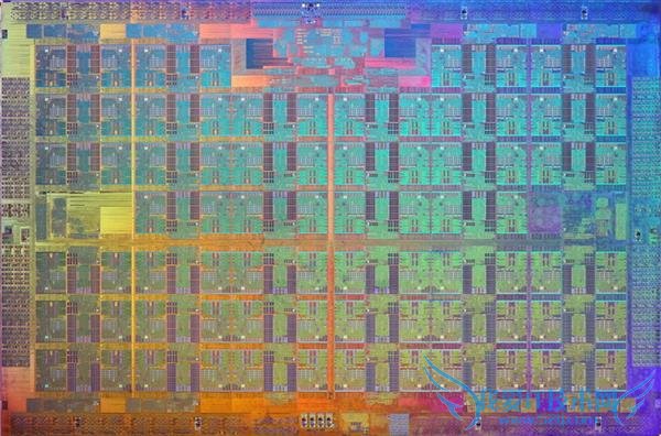 IntelΪεAMD Ƚ뵼幤մʲô