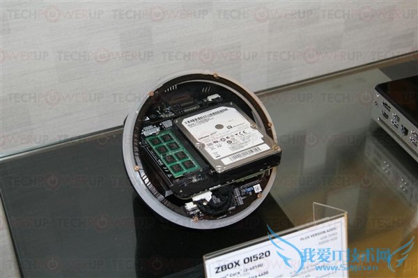 猜猜这个“球”是啥……