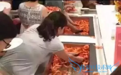 中国游客泰国吃自助用盘子铲虾:震惊泰国网友