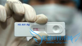 排卵试纸准吗 52IJ母婴教育