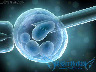 人工受精后的注意事项 52IJ母婴教育
