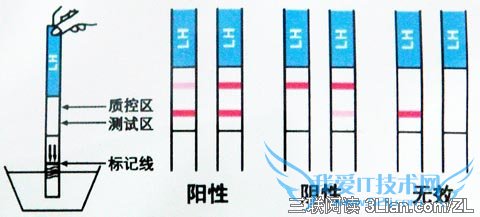 ֽȷʹ÷ע                   52IJĸӤ