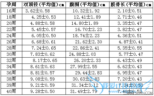 孕期B超单完全解读 52IJ母婴教育
