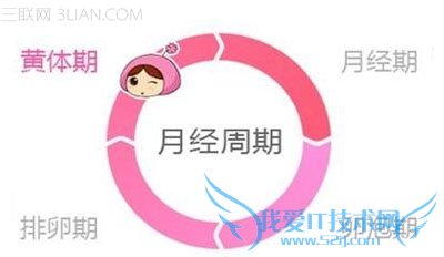 月经排卵期怎么算 52IJ母婴教育