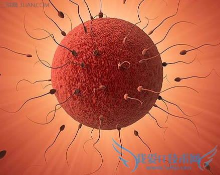 精子存活时间 52IJ母婴教育