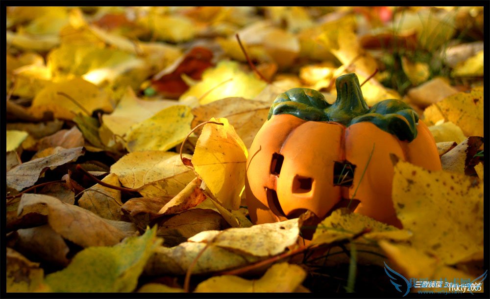 Ӥ׶עЩ     52IJĸӤĶ