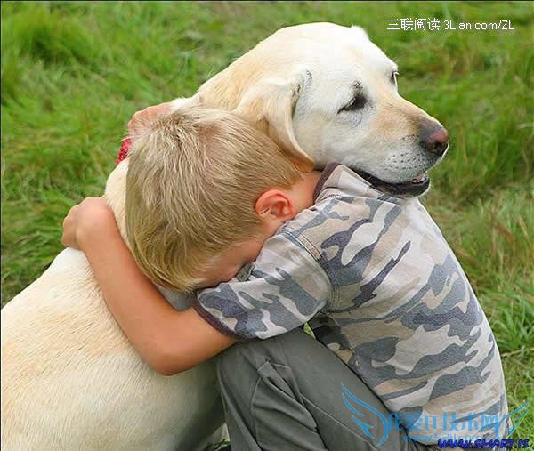 小孩也会有心病 52IJ母婴教育阅读