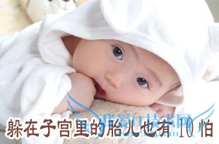 躲在子宫里的胎儿也有10怕