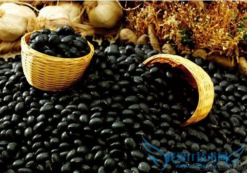 怀孕吃什么容易 52IJ母婴教育