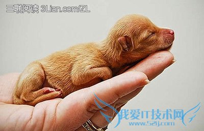 什么样的生活习惯易造成“怪胎”呢? 52IJ母婴教育