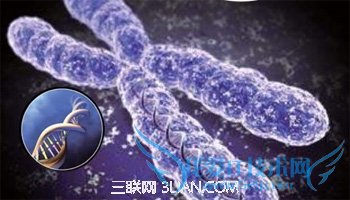 生男生女主要由谁的基因决定? 52IJ母婴教育