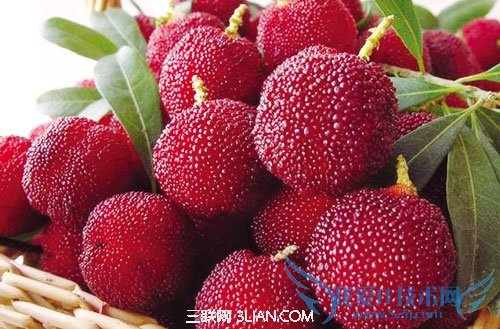 怀孕后为什么喜欢吃酸的东西 52IJ母婴教育