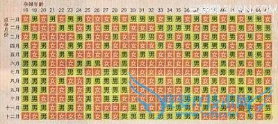 ������Ů�幬ͼ2014��ذ�