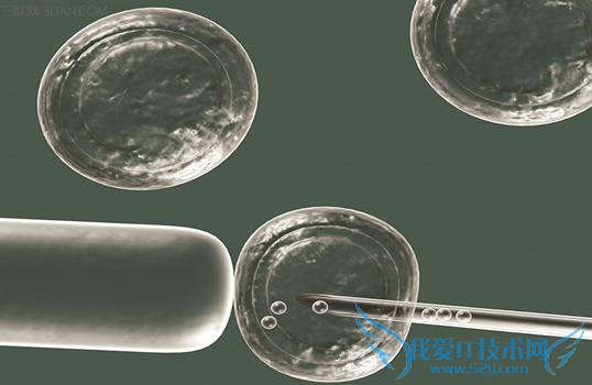 人工受孕适用人群 52IJ母婴教育