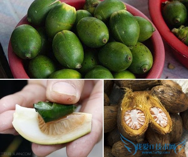 吃槟榔会影响生育吗 52IJ母婴教育