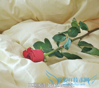 怀孕的最佳季节 52IJ母婴教育