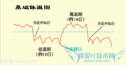 夫妻最佳怀孕日程表