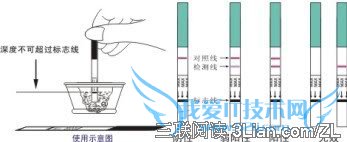 验孕纸如何使用 52IJ母婴教育