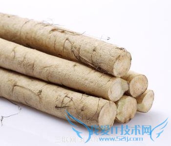 补肾壮阳的食物是什么 52IJ母婴教育