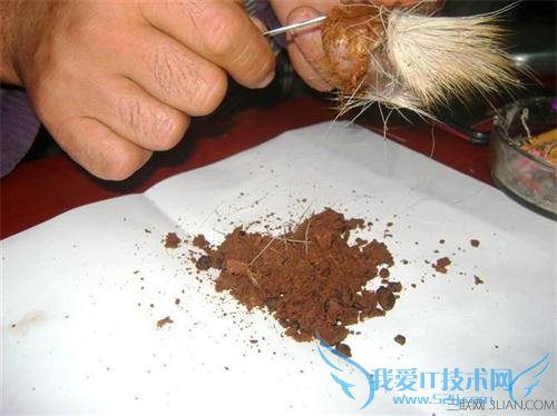 麝香对孕妇的危害 52IJ母婴教育