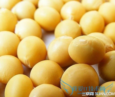 四种美食帮你吃掉妊娠斑 52IJ母婴教育