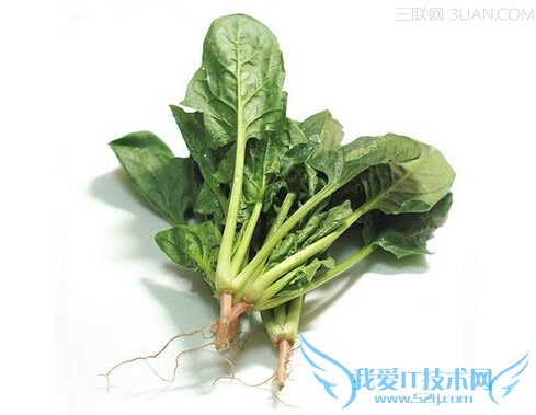 ׼贺Ҫ             52IJĸӤ