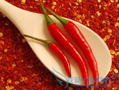 ǰЩҳ       52IJĸӤ