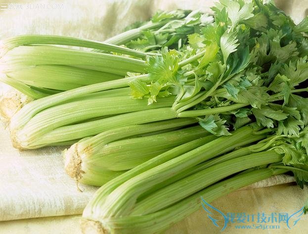 8大避孕食物最好少吃 52IJ母婴教育