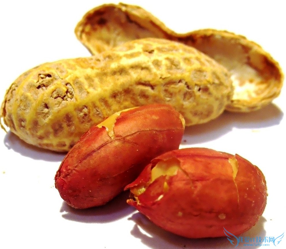 Լ̥         52IJĸӤ