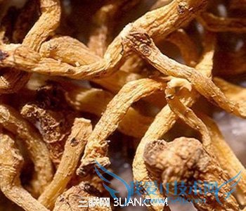 古代宫廷壮阳秘方是什么 52IJ母婴教育