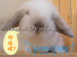 QQƽ̨ΪͼƬӸЦֵķ  ̳