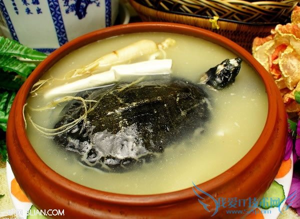 孕妇不宜吃的18种食物 52IJ母婴教育