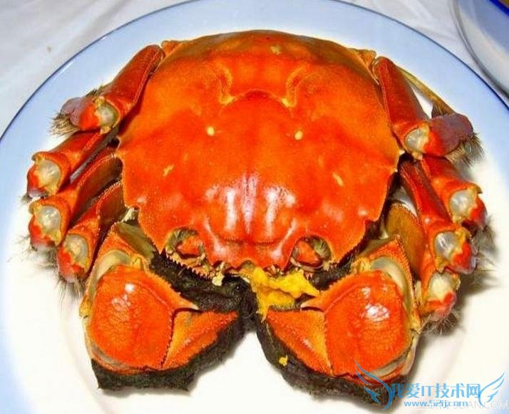 四种食物孕妇千万别吃 52IJ母婴教育