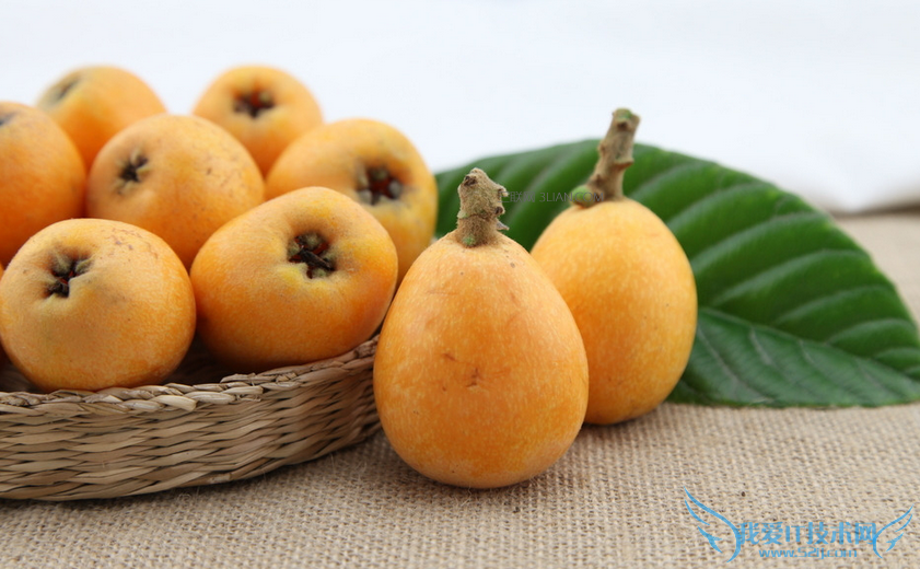 иܳи˵ĺô 52IJĸӤ