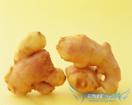 姜粥:孕早期呕吐准妈妈食用 52IJ母婴教育阅读