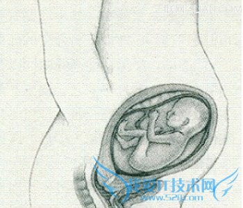 ֲ̥Ļ           52IJĸӤ