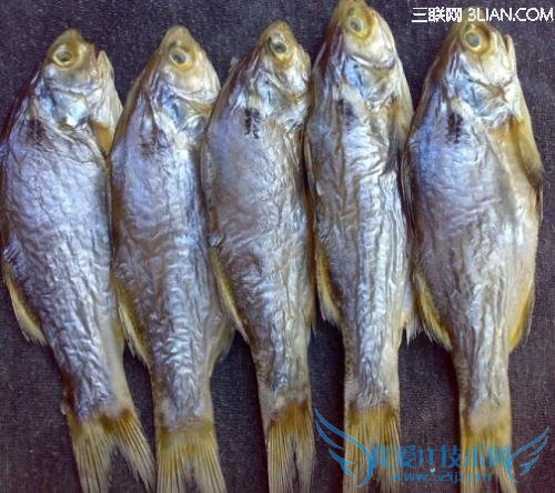 哪些鱼孕妇不能吃 52IJ母婴教育