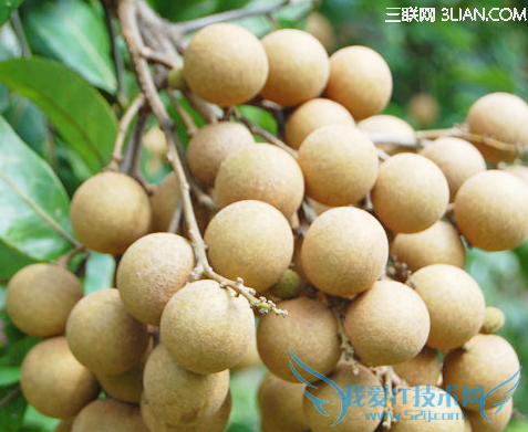 иʲôʱۣܳ 52IJĸӤ