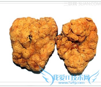 ̥ʲô          52IJĸӤ