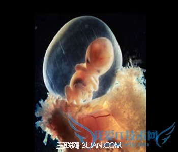 иΧ쳣ô           52IJĸӤ