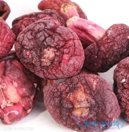 иԺ칽ĺô 52IJĸӤ