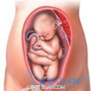 ����6���¶����۵�ԭ��           52IJĸӤ����