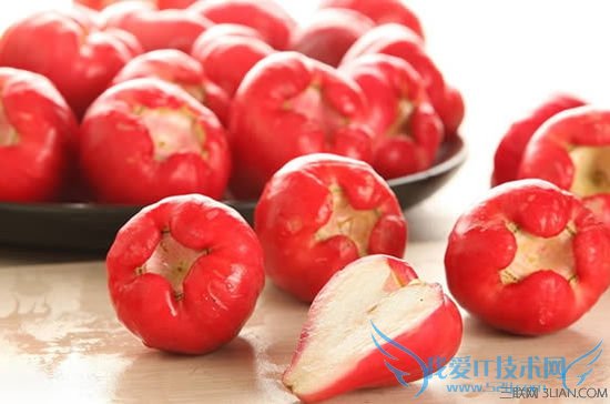 �и�������Գ������� 52IJĸӤ����