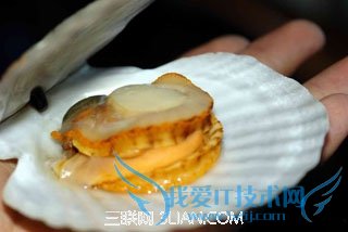 �и��ܳ��ȱ��� 52IJĸӤ����