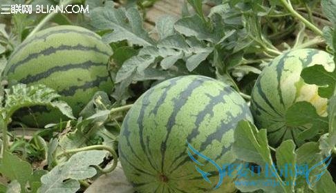 �и���ˮ���Ľ��� 52IJĸӤ����