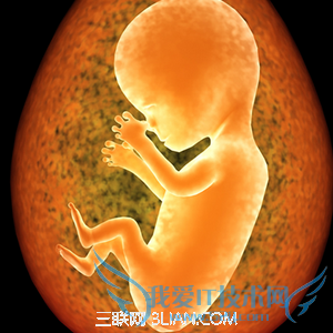 怀孕两个月胎儿大小 52IJ母婴教育
