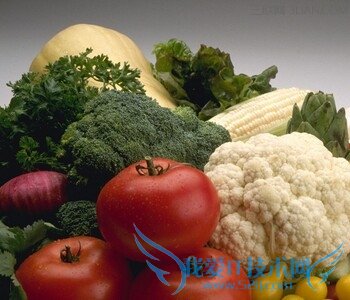 孕中期吃什么蔬菜好 52IJ母婴教育