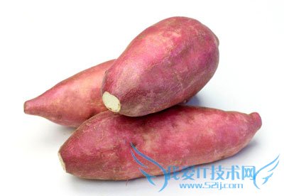 孕妇可以吃红薯吗 52IJ母婴教育